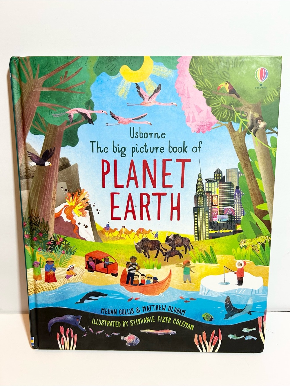 Usborne Planet Earth Picture Book - hardcover
